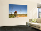 Classic Australian Outdoor Toilet (Dunny)