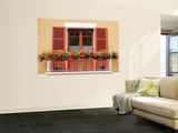 Pots of Geranium Flowers on Window Balcony
