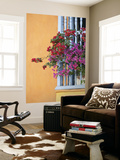 Bougainvillea Adorning Colonial Window