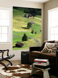 Overhead of Road Through Green Pastures
