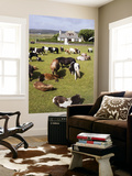 Shetland Ponies at Gott Farm