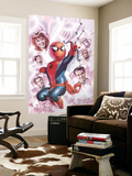 The Amazing Spider-Man 605 Cover: Spider-Man