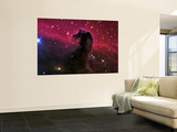 The Horsehead Nebula