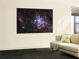 The Tarantula Nebula