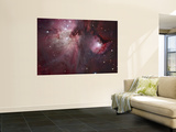 A View of the Trapezium Region  Which Lies in the Heart of the Orion Nebula