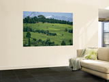 Tea Plantations Covering the Hills Near Mount Kenya