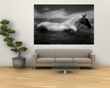 White Horse Swimming