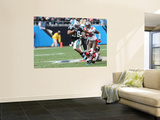 Buccaneers Panthers Football: Charlotte  NC - Jonathan Stewart