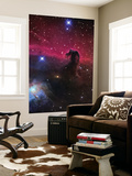 The Horsehead Nebula