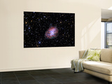 The Crab Nebula