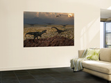 An Allosaurus Dinosaur Spies a Group of Young Diplodocus Herbivores