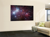 NGC 2264  the Cone Nebula Region