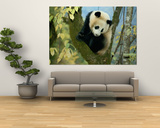 Juvenile Giant Panda