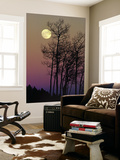 A Full Moon Shines on Winters Leafless Branches