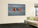 A Republic P-47D Thunderbolt in Flight