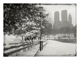 New York City In Winter VIII