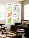 Ireland Historic 1981