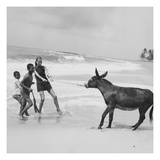 Vogue - January 1968 - Veruschka Playing with Brazillian Boys and Donkey