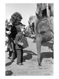 WWD - March 1972 - Arrival of the Ringling Bros Circus in New York