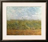 Wheat Field with a Lark