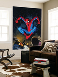 The Amazing Spider-Man 518 Cover: Spider-Man