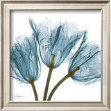 Tulips in Blue
