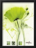 Coquelicot Vert I