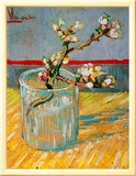 Blossoming Almond Branch in a Glass  c1888