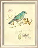 Gilded Songbird I