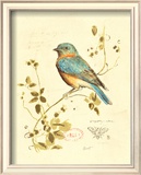 Gilded Songbird IV