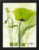 Coquelicot Vert II