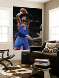 New York Knicks v Minneapolis Timberwolves  Minneapolis  MN  Feb 11: Tyson Chandler