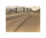 Beach Fence