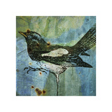 Magpie No 1