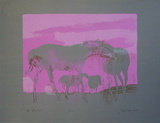 Les Chevaux Blancs