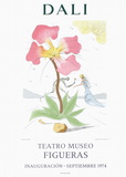 Teatro Museo Figueras 3