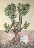 Le Bonzaï