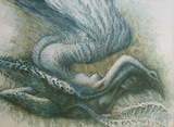L'écume
