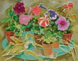 Les pots de fleurs II