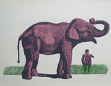 Elefante y General