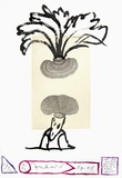 Flora Danica Fig 5