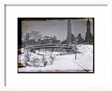 New York City In Winter V