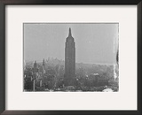 New York City In Winter VII