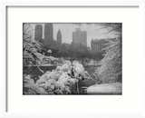 New York City In Winter IX