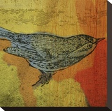 Warbler No 1