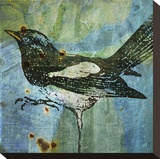 Magpie No 1