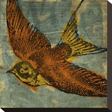 Bird Collage No 1