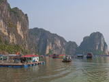 Old Boats and Junkets  Ha Long Bay  Vietnam