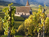 Hunawihr  Alsatian Wine Route  Alsace Region  Haut-Rhin  France