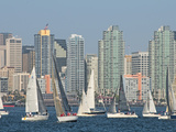 Fleet of Sailboats and Skyline of San Diego  California  Usa